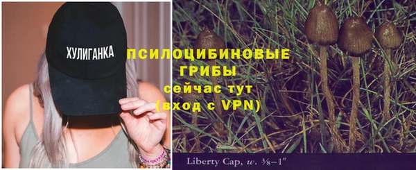 дживик Баксан
