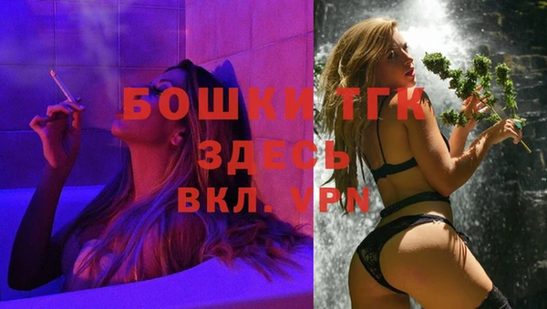 дживик Баксан