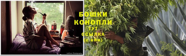 дживик Баксан