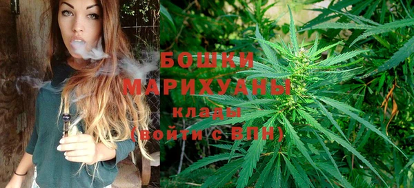 дживик Баксан