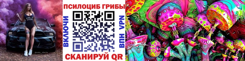 площадка какой сайт Сураж Псилоцибиновые грибы Psilocybe