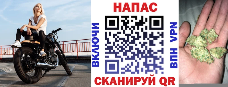 Канабис Bruce Banner  Сураж 